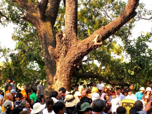 Chua Tu Quang Chua Da Trang Phu Yen Co Tu Dau Tien Cua Xu Nau 04 1637333738